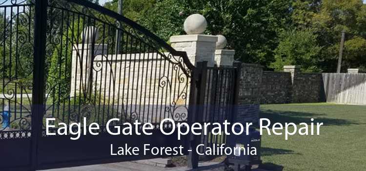 Eagle Gate Operator Repair Lake Forest - California